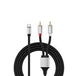 CABLE USB-C A 2 RCA STEREO 2 MTS.